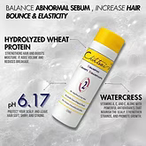 Chihtsai No.2 Shampoo for Oily/Fine/Limp Hair 250ML